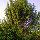 Празници в 789