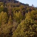 Празници в 789
