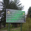 Нашият нов приятел - Държавен горски разсадник "Джулюница"